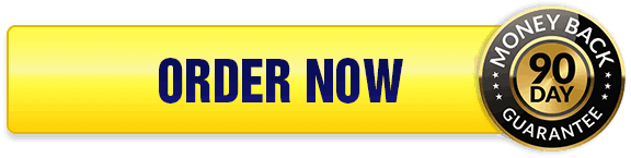 the brain song for memory